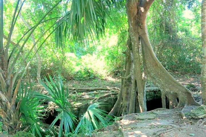 Jade Cavern Cozumel 2 thumbnail